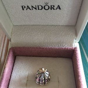 Pandora beads